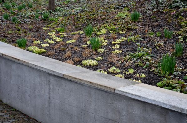 Concrete Wall Construction in Reno