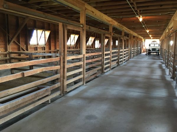 Barn Slab Construction in Reno