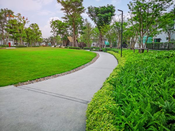 Cement Walkway Service in Reno