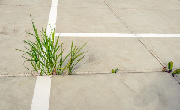Concrete Parking Installation in Reno