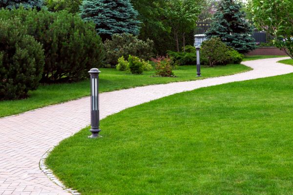 Backyard Sidewalk Installation in Reno