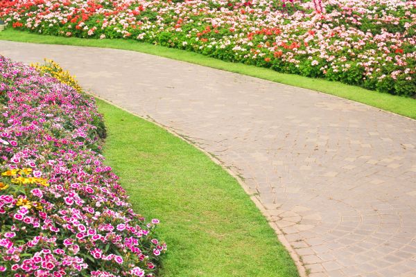 Concrete Walkway Service in Reno